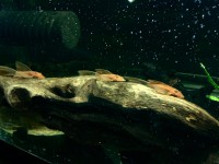 /album/fotogalerij/foto-02-03-18-19-38-38-jpg/